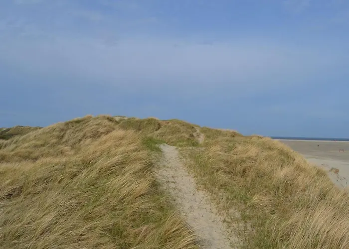 Hariet - 300m From The Sea By Interhome